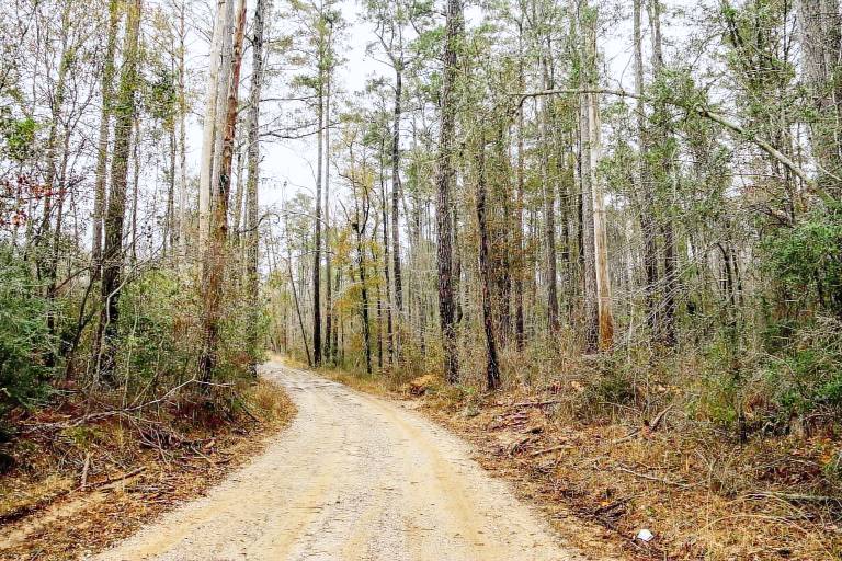 Resort Allen Parish
