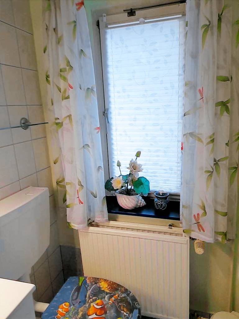 foto2