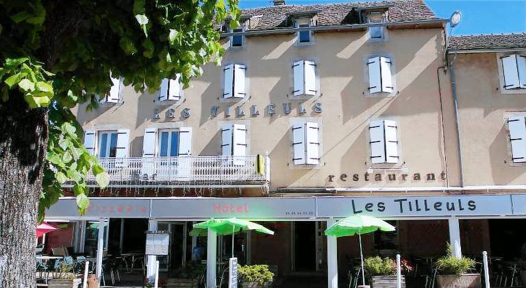Hotel Les Tilleuls de Pareloup a Salles-Curan — photo 3