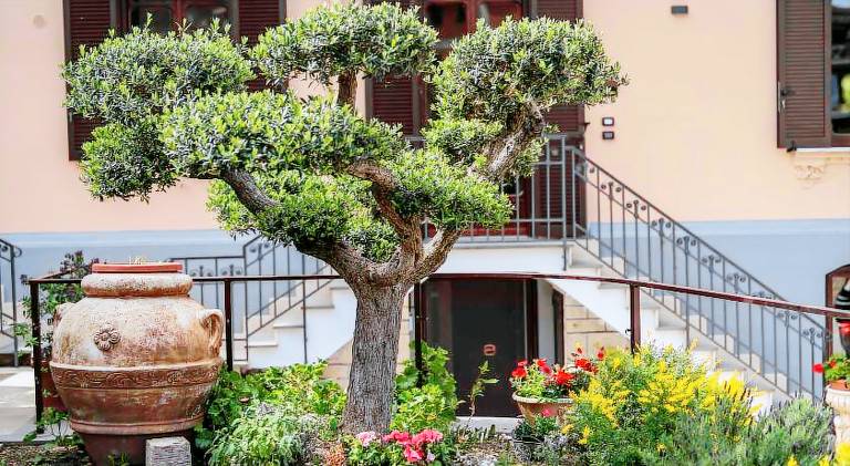 VILLA AGOSTINO LUXURY B&b — photo 3