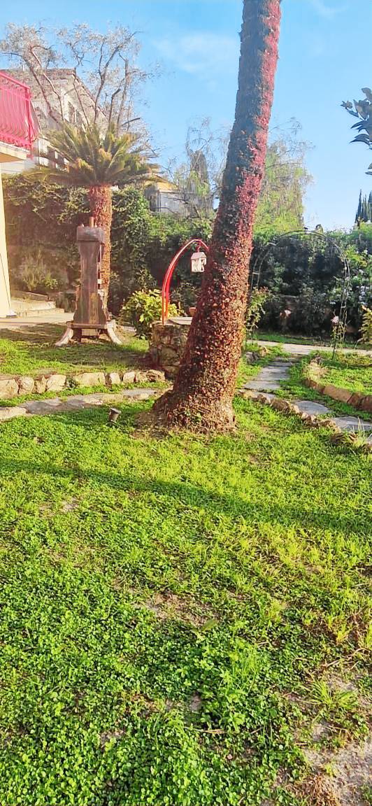 foto2