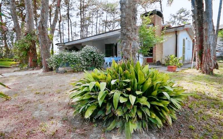 Villa with yard, terrace & BBQ — photo 3