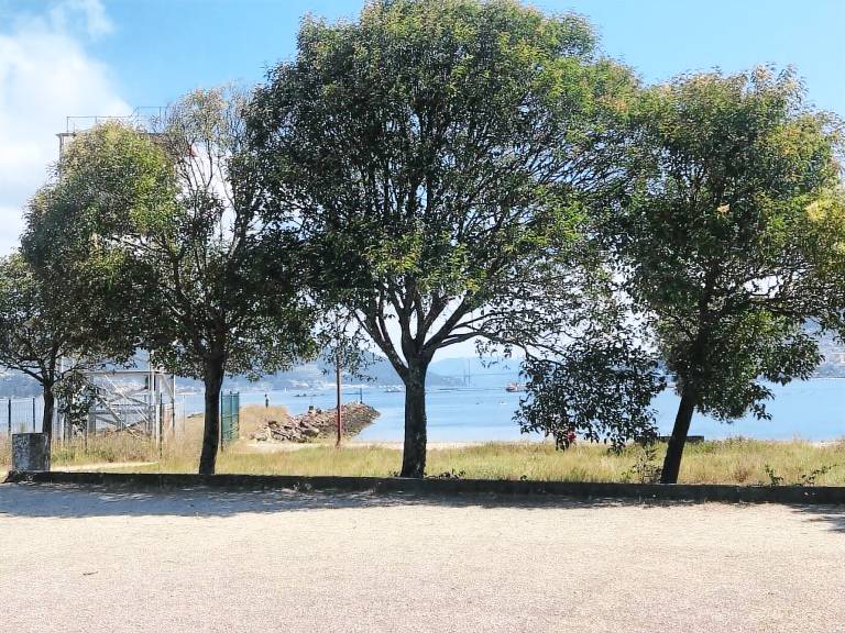 Apartamento  Vigo