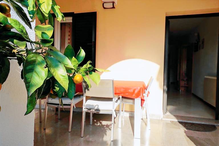 Holiday apartment with yard & terrace | Pets are welcome — photo 4