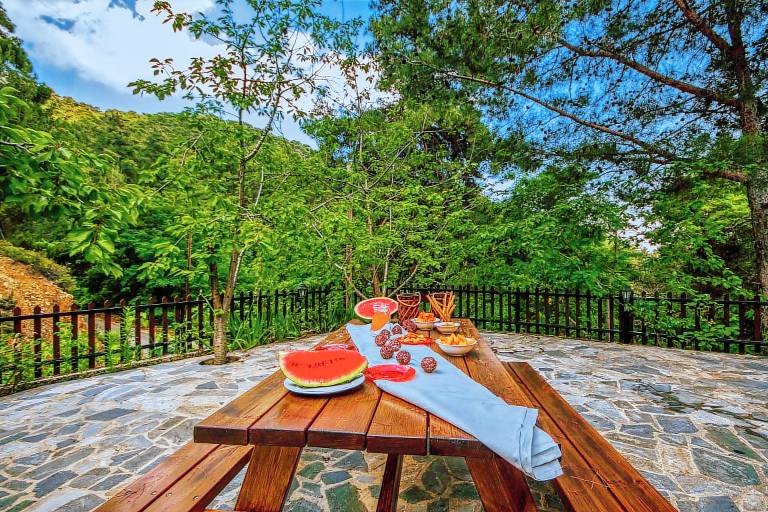 Villa Troodos