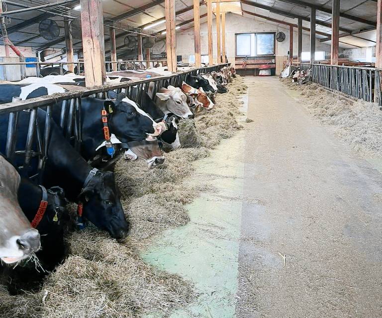 foto4