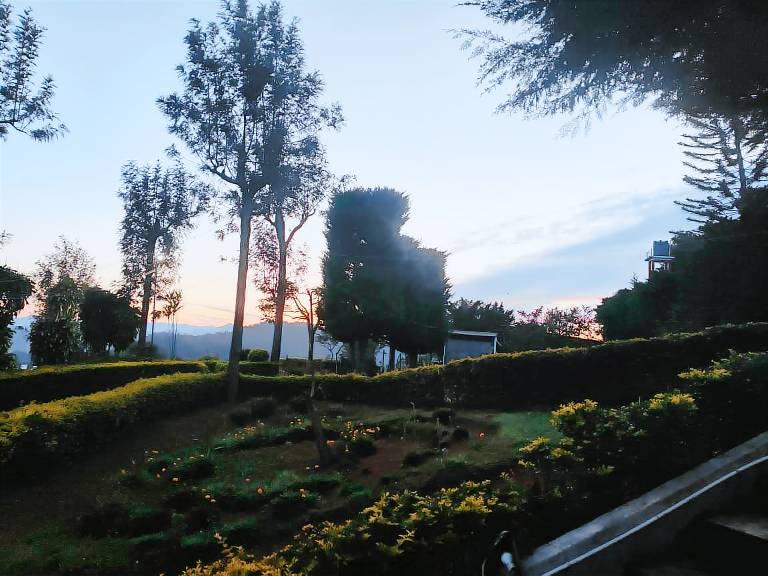 Mist valley resort — photo 3