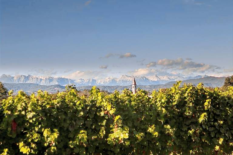 Wine Relais Lis Neris: GEMMA — photo 3