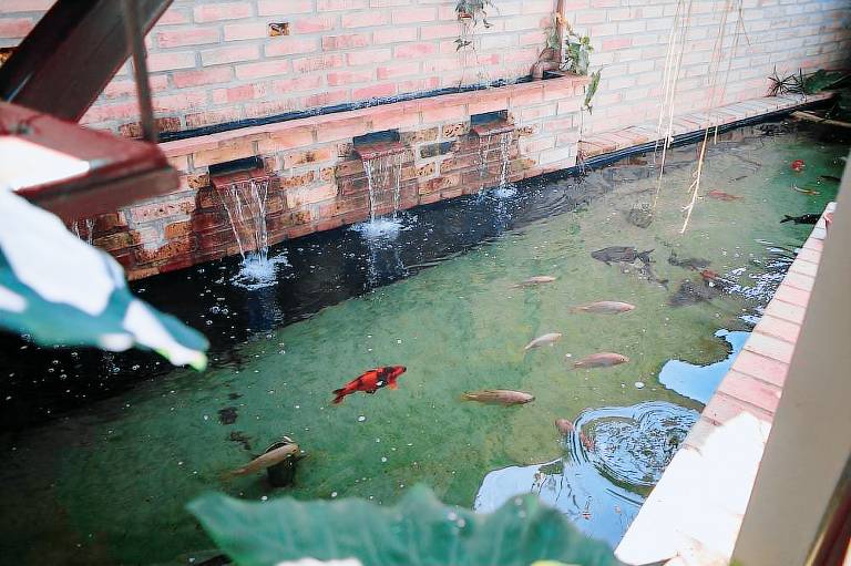 foto9