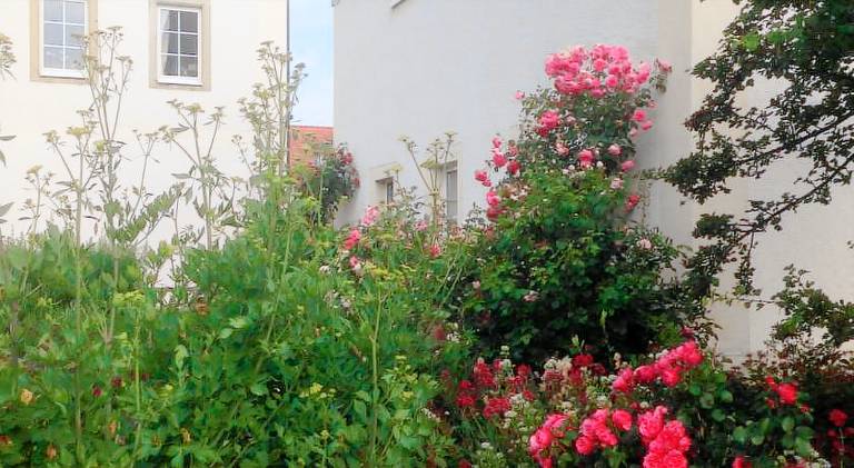 Pleasant rental apartment | Dogs allowed in Chemnitz