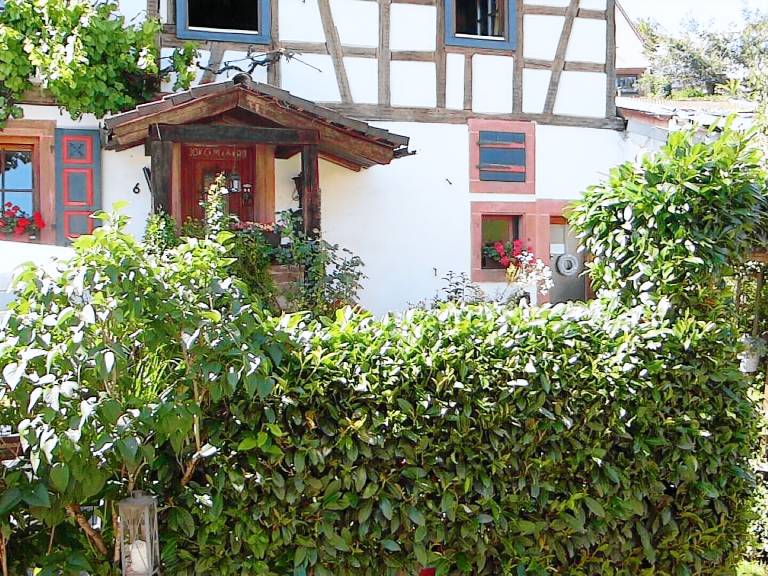 Ferienwohnung Wilgartswiesen