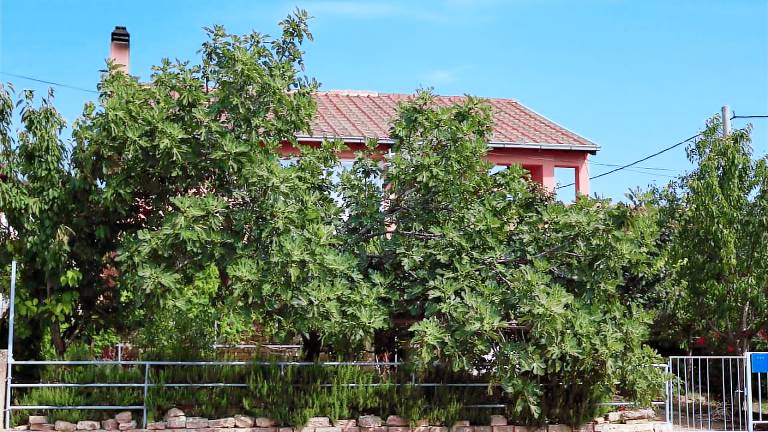 Apartma  Karin Gornji