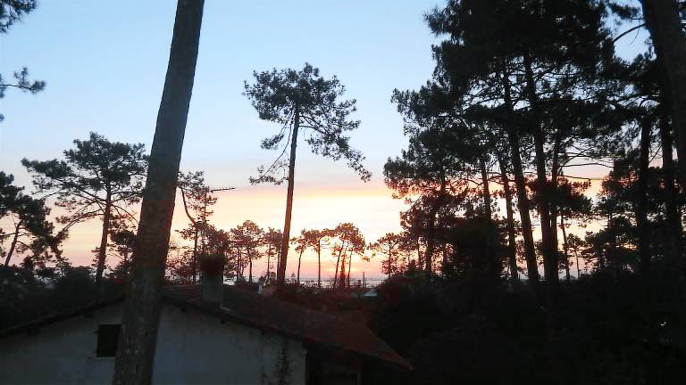 Appartement Lège-Cap-Ferret