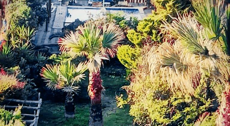 Charming house with pool | Beach nearby | Pet-friendly — photo 5