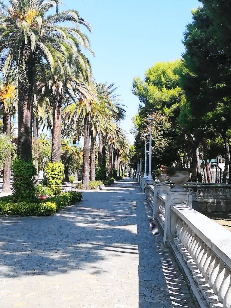 foto4