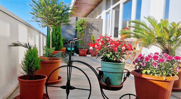 Fully equipped rental apartment with patio | Pet-friendly in Assago