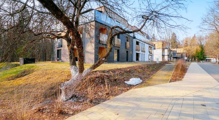 Apartament Nieznany Bór