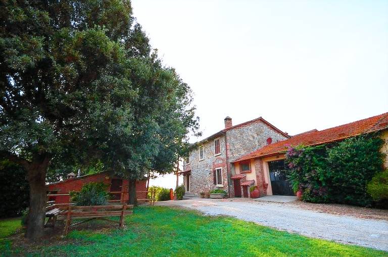 Agriturismo Il Bagnolo: La vite — photo 2
