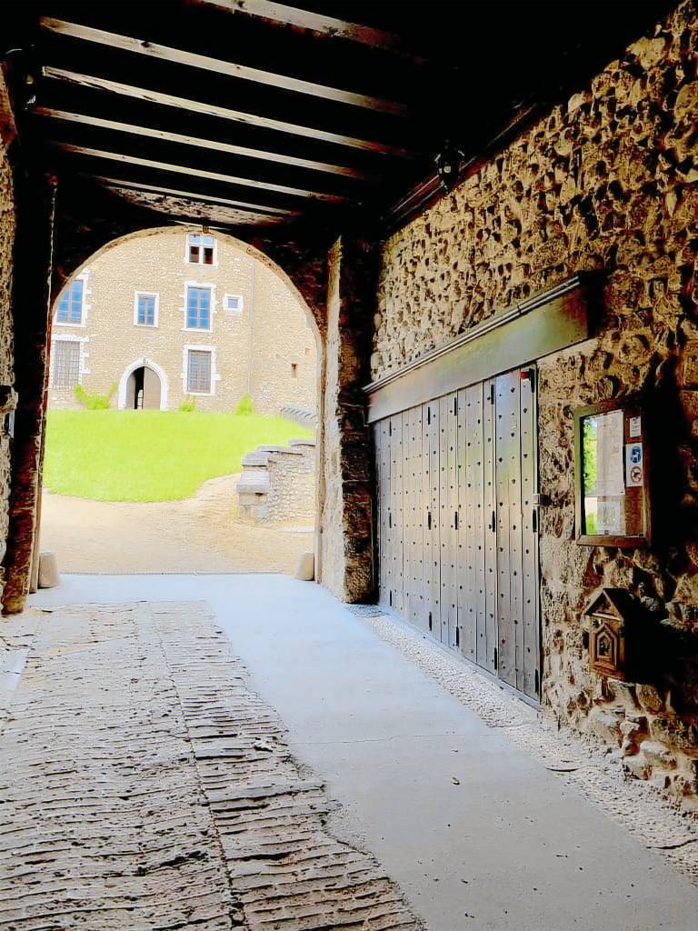 foto21