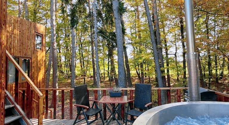 Lodge with private pool, barbeque & sauna — photo 4