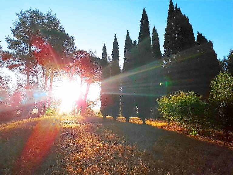 Bed & Breakfast Pisa