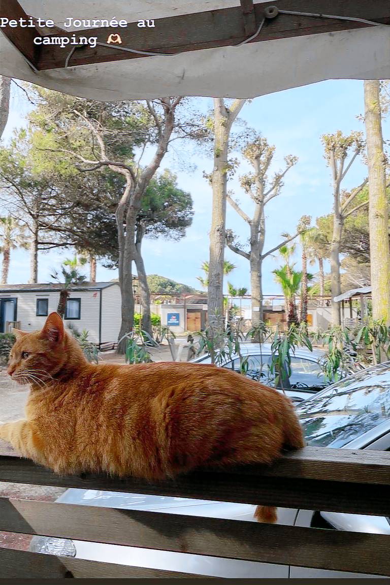 Wonderful holiday apartment with barbeque, heated pool & yard | Sea view | Next to the beach | Dogs allowed — photo 5