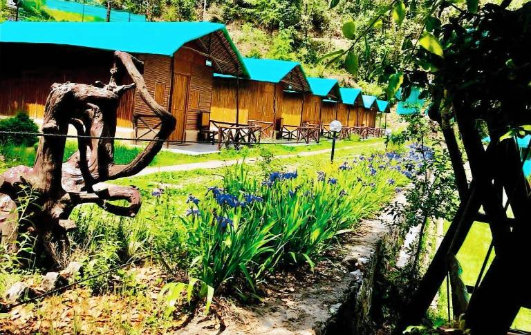 Tent Kufri