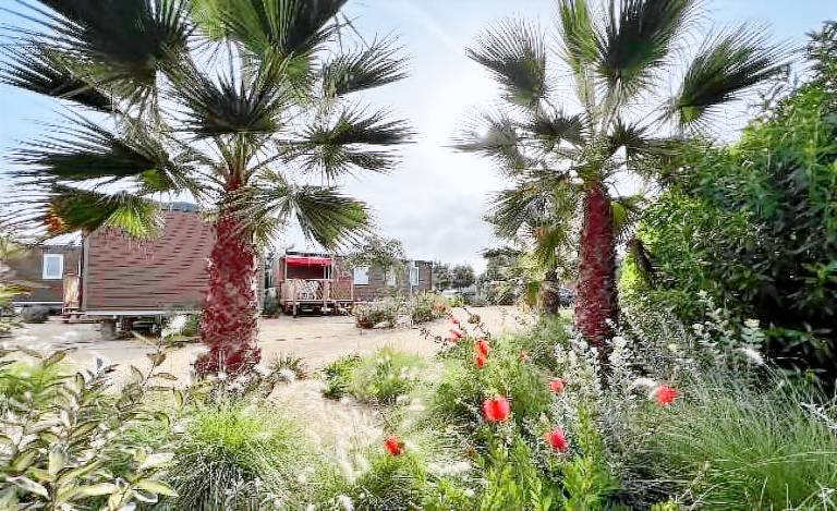 Camping Blanes