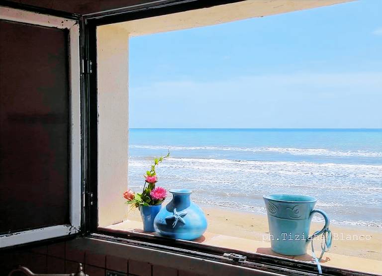 Child-friendly apartment with patio | Nature view | Next to the beach | Dogs allowed — photo 4