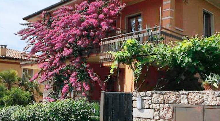 Holiday apartment with 1 room for 4 persons in Torri del Benaco