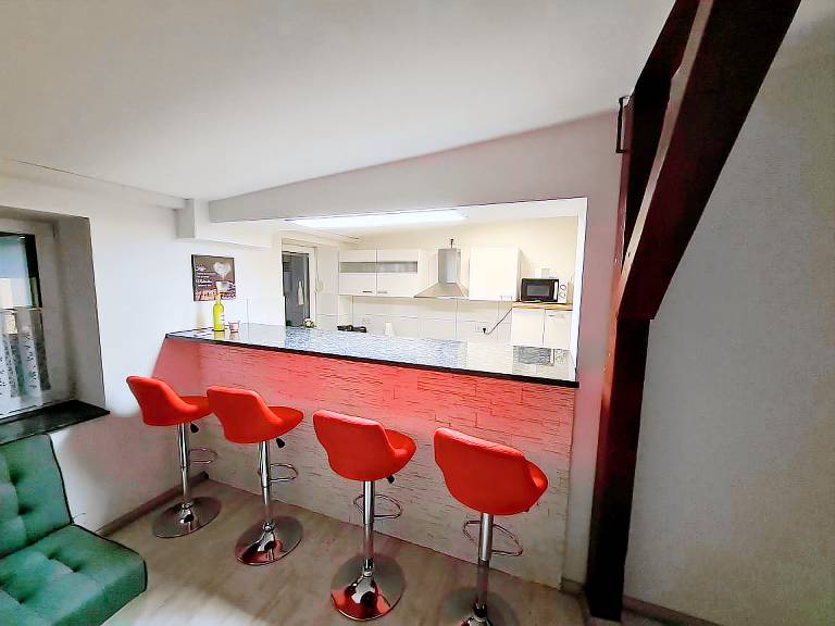 Fully equipped charming holiday apartment | Pets allowed in Magdeburg
