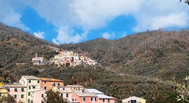 Beautiful apartment | Pets allowed in Levanto