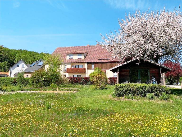 foto11