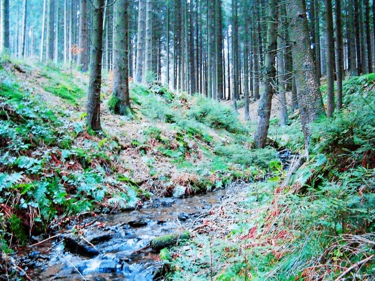 45 m&sup2; Privatzimmer