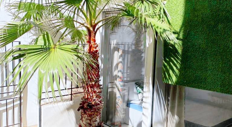 Holiday apartment | Near Palais Longchamp | Pets allowed — photo 4