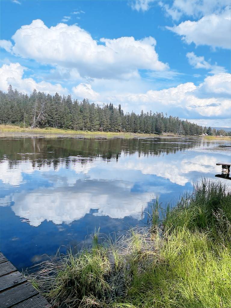 Cabin Island Park