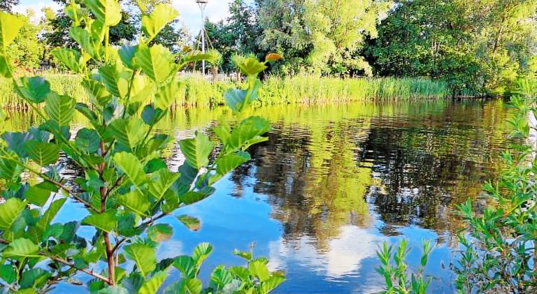 Tiny House De Kwekfink