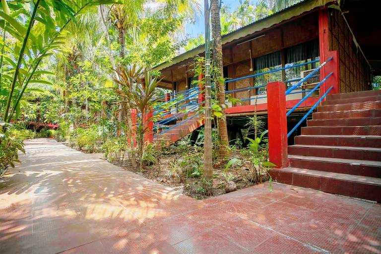 Palm Grove Eco Resort — photo 3