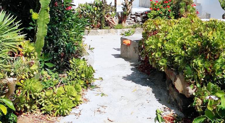 Vacation home with 1 room for 2 persons — photo 4