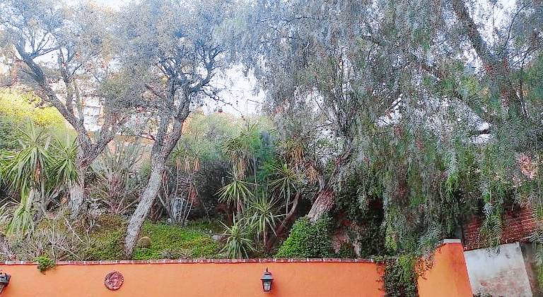 Lovely vacation home with garden | Pet-friendly — photo 5
