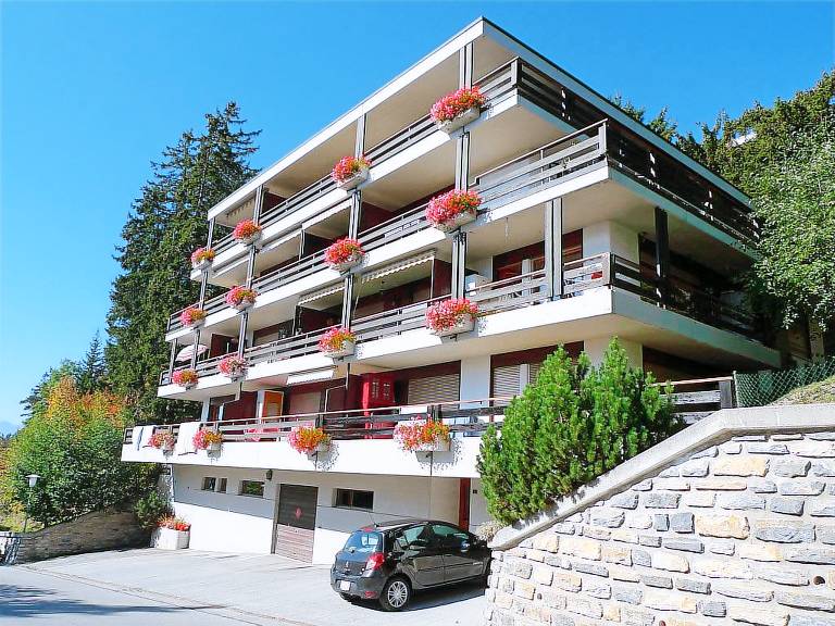 foto1