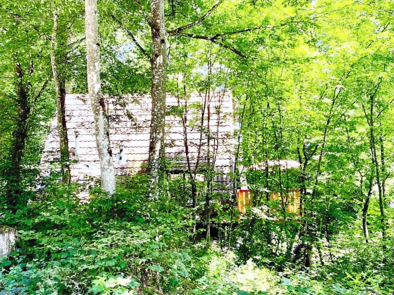 Bungalow with BBQ, terrace & pool | Perfect for remote work | Dogs allowed in Durbuy