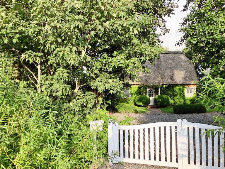 Bild zu 403d635c1918239a