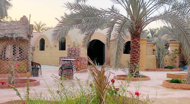 Nour El wadi — photo 4