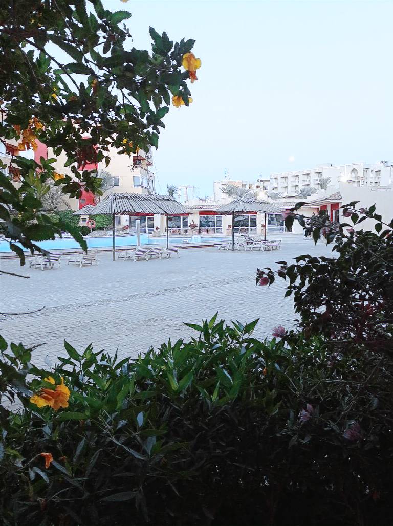 Lovely holiday apartment with pool, grill & yard | Pets allowed in Hurghada