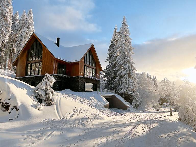 Villa  Benecko