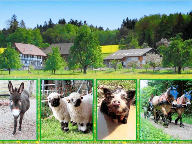 Ferienwohnung Winterthur