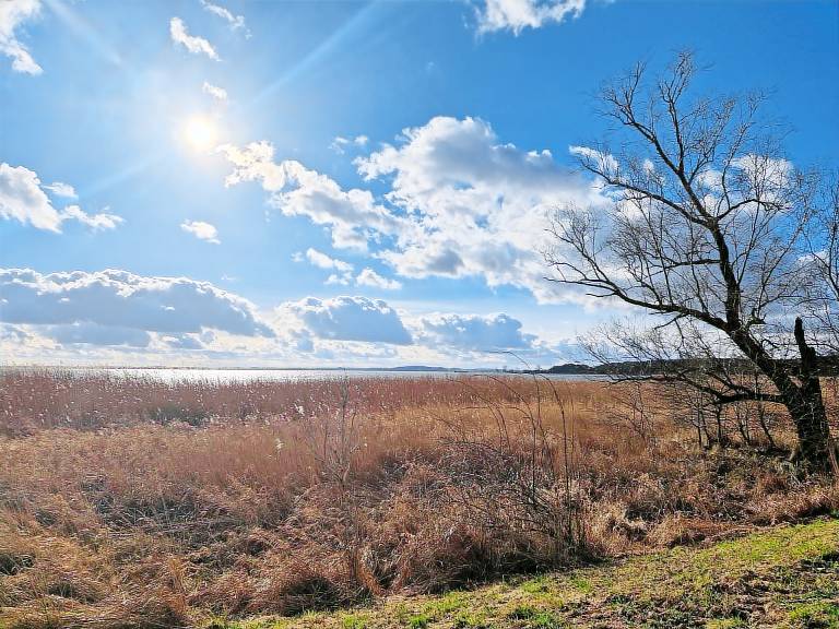 Ferienwohnung in Lütow, Warthe f&uuml;r max. 2 Personen