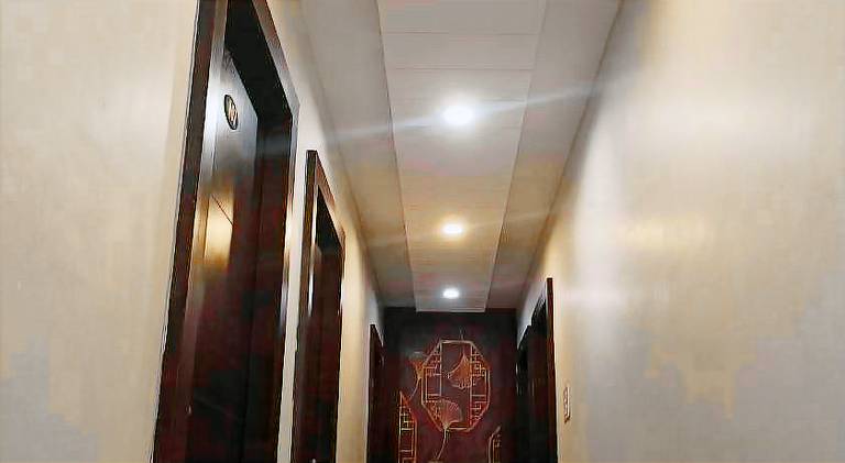 Shree Radhe Palace — photo 5