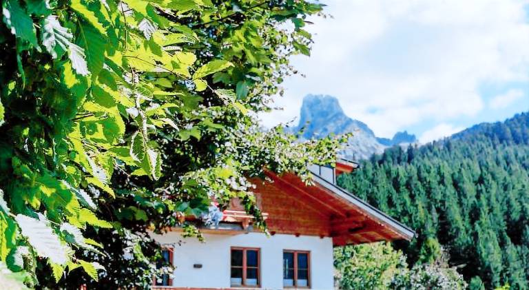 Pleasant apartment with terrace & garden | Pets allowed in Annaberg-Lungoetz